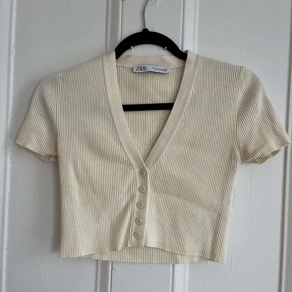 Zara Crop top